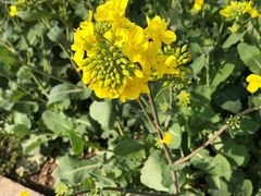 -庞家烧烤客栈(炮台山店)