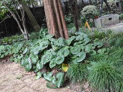 -巴金故居