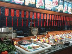 -邵年鸽(杨庄店)