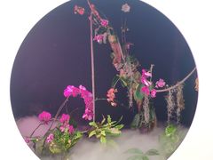-昆明植物园
