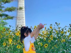 -二沙岛艺术公园