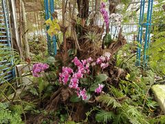 -石家庄市植物园