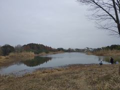 -贡湖湾湿地公园