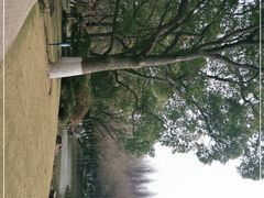 -瀛洲公园