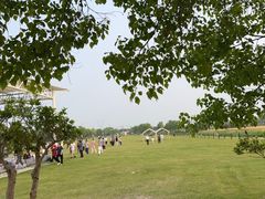 -嘉北郊野公园