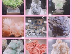 -中国地质大学逸夫博物馆