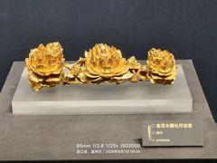 -温州博物馆