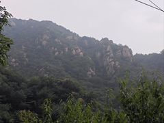 -大岭沟猕猴桃谷风景区