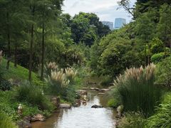 -云溪植物园