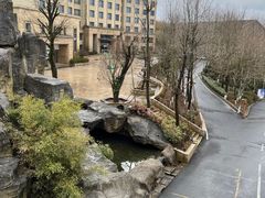 -江南天池