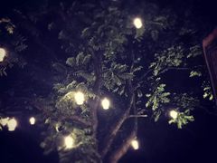-zarah(鼓楼店)