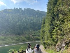 -武陵山森林公园