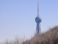 -青藏高原野生动物园