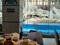 -帝企鹅自助餐厅•儿童岛•真企鹅(长隆企鹅酒店)