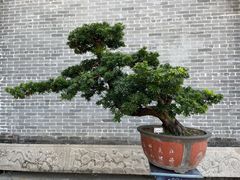 -梁园