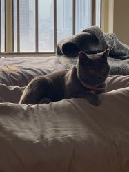 -Miss·A日式美甲美睫