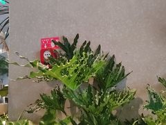 -gaga(北京新中关购物中心店)
