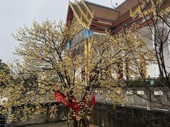 -报恩禅寺