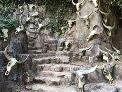 -西双版纳基诺山寨