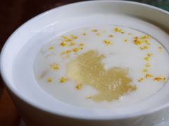 桂花杏仁燕窝-燕庭·纯燕窝·甜品下午茶(日月光店)