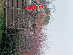 -无锡梅园公园
