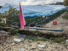 -新塘水果乐园(东洲大道店)