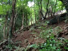 -岚山猴子公园