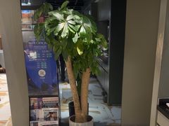 -老吉士酒家(丁香国际店)