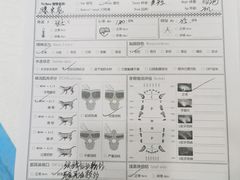 -博特宠物医院24h犬猫全科.骨科·异宠