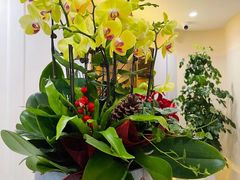 -昆山招商花园城
