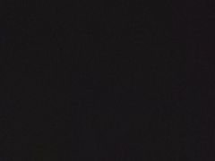 -圣廷苑酒店-世纪楼菲苑自助餐厅