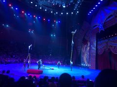 -珠海横琴长隆《卡卡虎奇遇记》