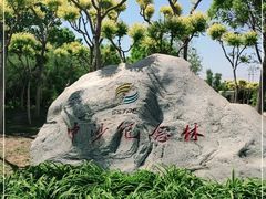 -大港湿地公园