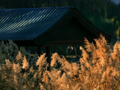 -颐和园