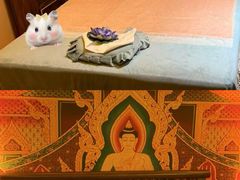 -金色莲花泰式按摩SPA(石牌店)