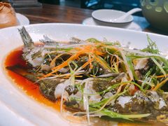 清蒸黄鳝骨-大自然(鲁家村店)