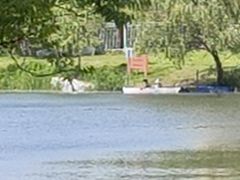 -新江湾城公园