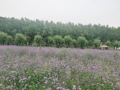 -北戴河集发农业梦想王国