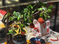 -唐猫庭院·千年陕菜(赛格国际购物中心店)