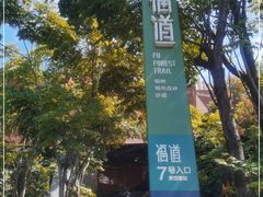 -福道