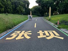 -张坝桂圆林公园