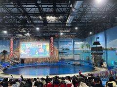 -华夏文旅海洋公园