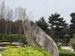 -中国唐苑