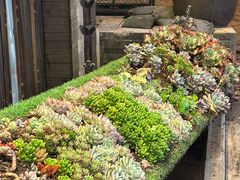 -桥边小楼·手工云南菜·古城观景小楼