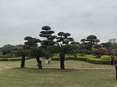 -南宁南湖公园