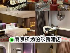 -南京禄口机场雅高铂尔曼大酒店