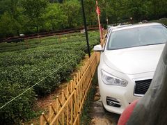-中国茶叶博物馆(双峰馆区)