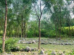 景点-滨河世纪广场公园