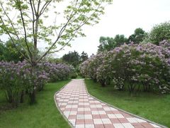 -黑龙江省森林植物园