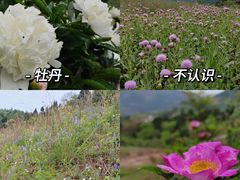 -金堂县云顶石城风景区